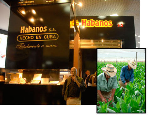 Festival del Habano 2012 comenzó en la capital cubana tras un año de crecimiento en ventas internacionales